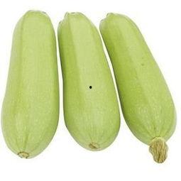 吃蒸角瓜能瘦吗视频讲解,视频讲解揭示神奇瘦身效果