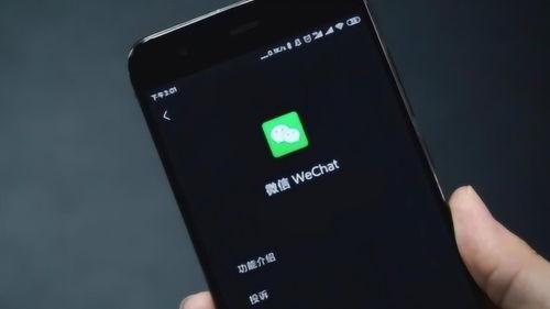 吃瓜传送门微信包浆视频,微信包浆视频背后的趣味与奥秘