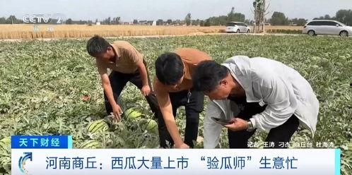海南教师吃瓜事件视频,视频曝光引发社会关注与热议