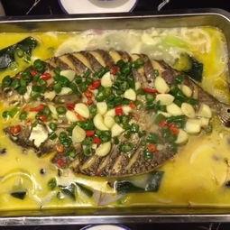 吃瓜吃到美食视频下载安装,跟着美食视频下载安装，开启味蕾之旅