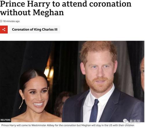 吃瓜女王结婚视频播放下载,视频播放下载热潮席卷全网