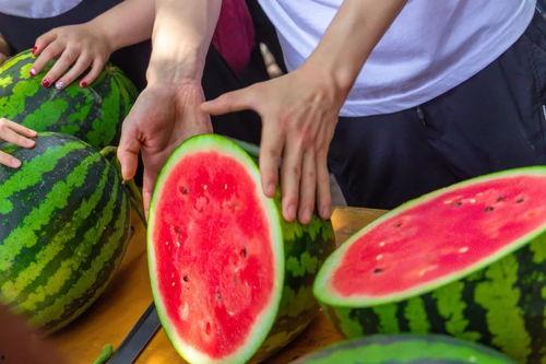 学院视频吃瓜,视频吃瓜背后的真相与笑料