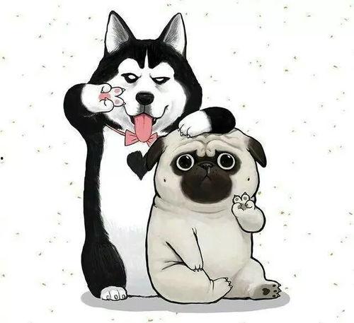 吃瓜狗头君拜年视频下载,欢乐新春，狗年大吉