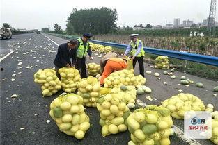 河南新县吃瓜事件视频,一场引发热议的网络风波