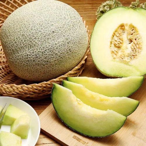 日本助眠吃蜜瓜视频网站,日本视频网站揭秘神奇食疗新潮流