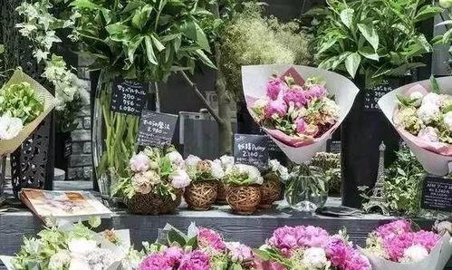 白沟花店吃瓜视频大全,趣味横生的花店日常