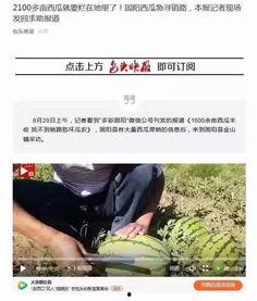 包头吃瓜事件真相视频播放,真相视频揭示惊人内幕