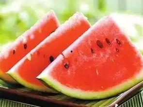 鄢陵吃瓜事件视频最新,一场引发热议的网络风波