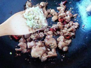 鸡吃佛手瓜的视频,佛手瓜美味共享