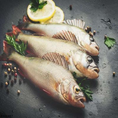 吃鲈鱼能吃葫芦瓜吗视频,揭秘两者同食的奥秘