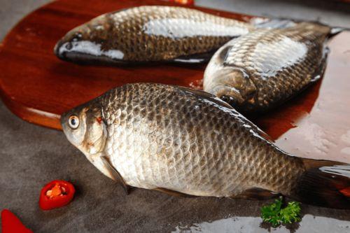 六大瓜吃鲫鱼视频播放在线观看,在线观看吃鲫鱼视频，美味瞬间来袭！