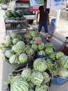 庄河吃瓜事件视频最新版,最新视频揭露惊人真相