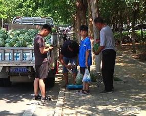 沂水吃瓜群众事件视频